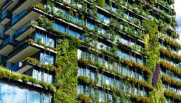 Nachhaltig Wohnen: Tipps für einen ökologischen Lebensstil