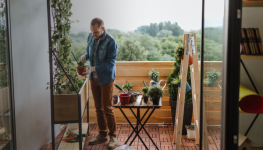 Grüne Oase auf dem Balkon