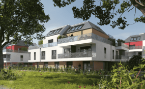 ROSENGARTEN – Jetzt sparen!