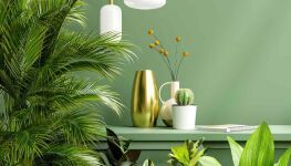 So geht umweltfreundlicher Alltag in der Wohnung