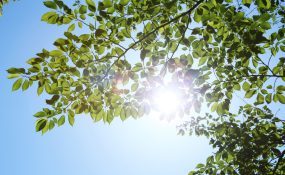 Der unterschätzte Faktor Sonne: Wie die Ausrichtung einer Immobilie den Alltag beeinflusst