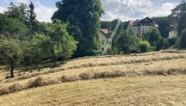             Land for construction in 3040 Neulengbach
    