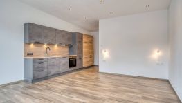             Komfortabel & modern: 37 m² Apartment in Fieberbrunn
    