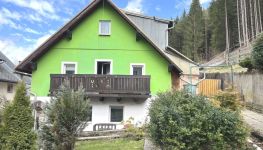             Einfamilienhaus mit großzügigen Grünflächen und einem Waldstück in Mariazell
    