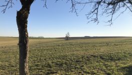             Land for construction in 4720 Kallham
    